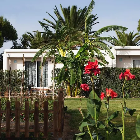 Casa rural Casara Siete *