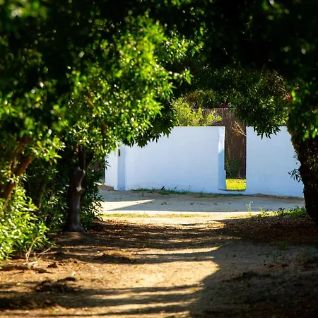 Casara Siete *