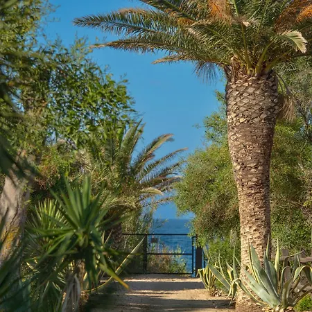 Casara Seis O Casara Siete - Tu Casa A 100m De La Playa De Zahora