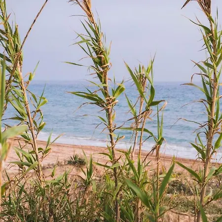 Casara Seis O Casara Siete - Tu Casa A 100m De La Playa De