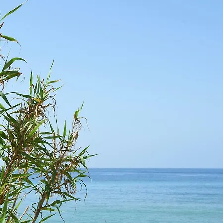 Casara Seis O Casara Siete - Tu Casa A 100m De La Playa De Landhaus *