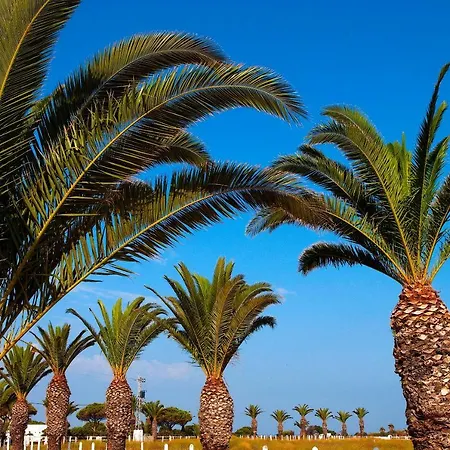 Casara Seis O Casara Siete - Tu Casa A 100m De La Playa De * Zahora