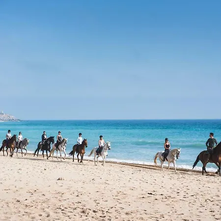 Casara Seis O Casara Siete - Tu Casa A 100m De La Playa De Zahora